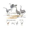 Sandhill Cranes Tee