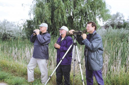 Paul Lehman, Jon Dunn, & Wayne Peterson